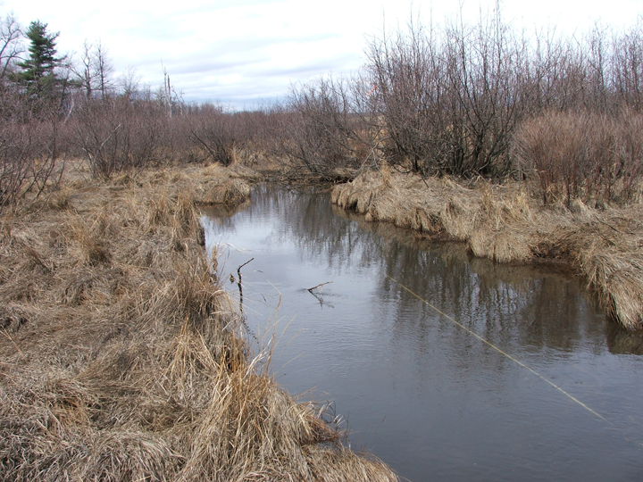 Field photo showing stream conditions at site DCRL-103-B-2008-1