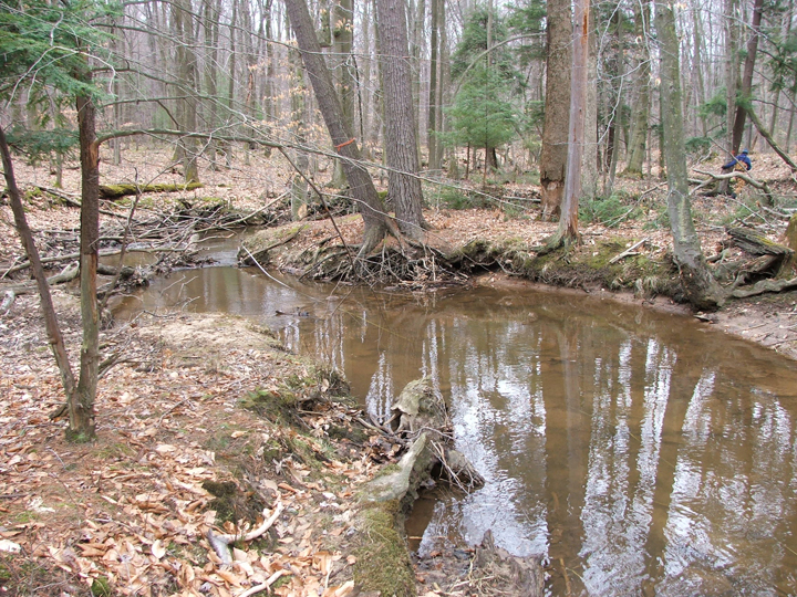 Field photo showing stream conditions at site DCRL-105-B-2008-2