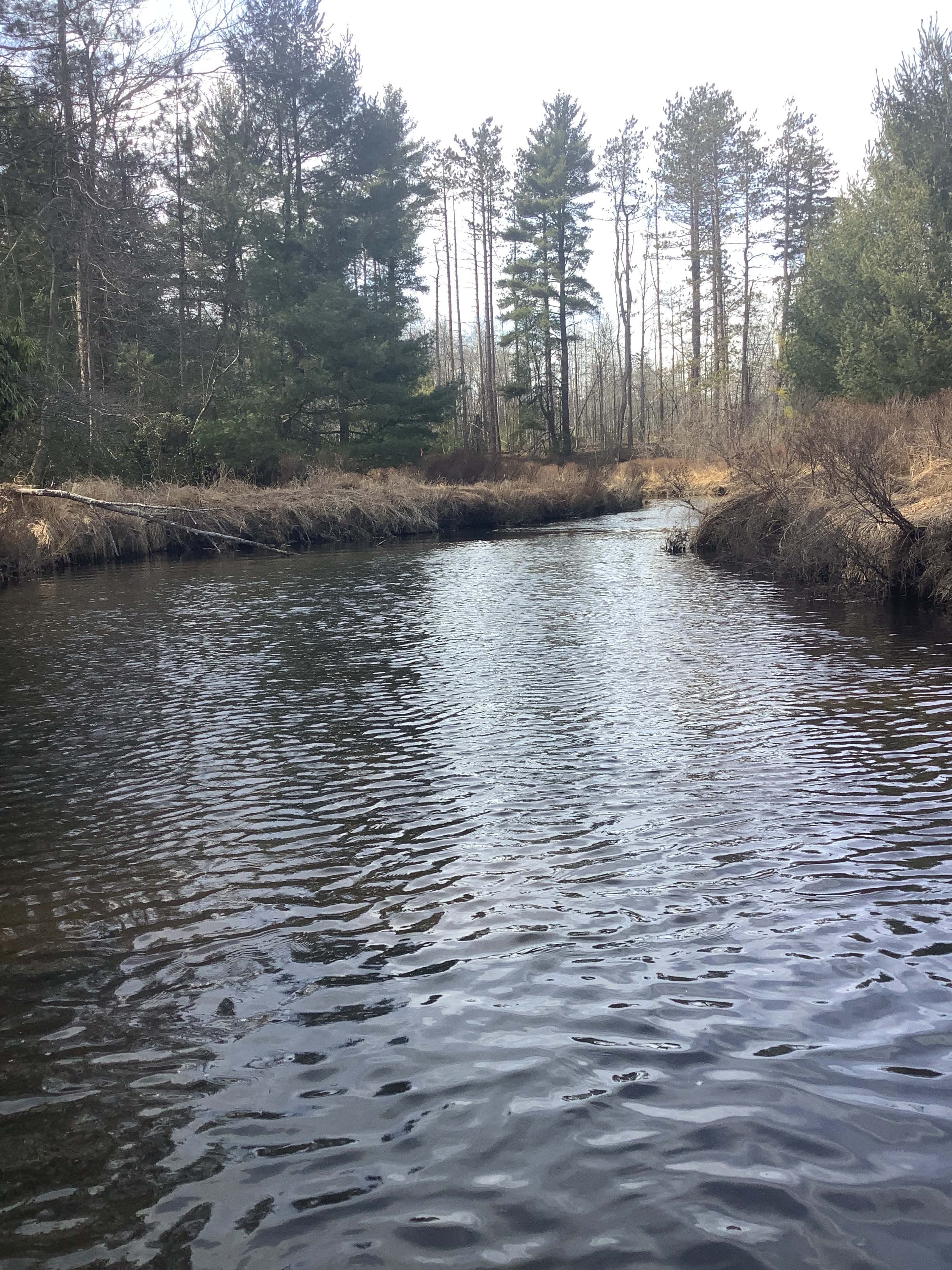 Field photo showing stream conditions at site DCRL-321-R-2023_Midpoint_facing_downstream_