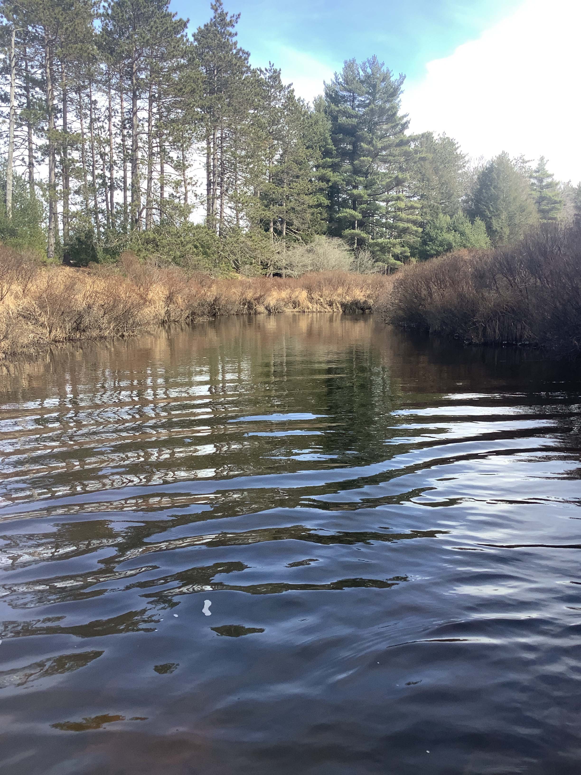 Field photo showing stream conditions at site DCRL-321-R-2023_Midpoint_facing_upstream_