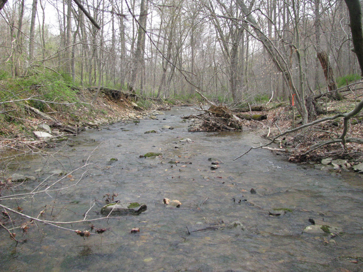 Field photo showing stream conditions at site DEER-101-A-2011-1