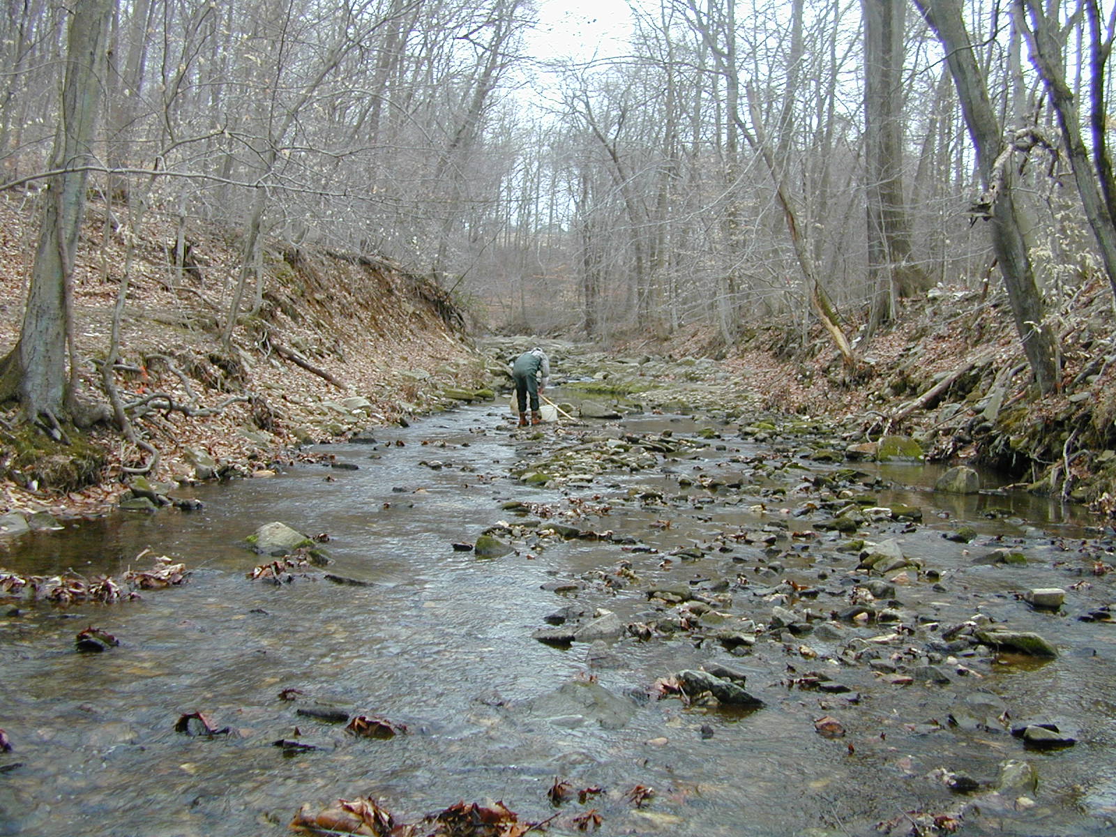 Field photo showing stream conditions at site DEER-101-R-2001-1