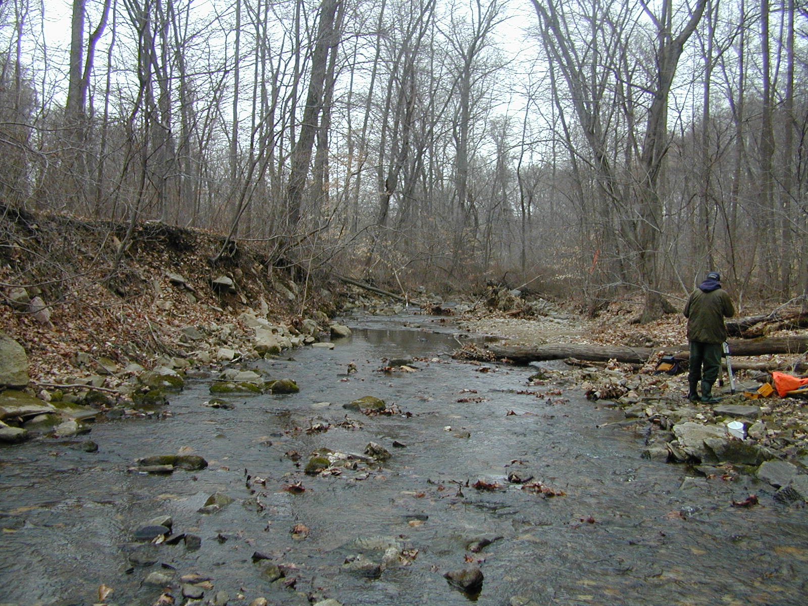 Field photo showing stream conditions at site DEER-101-R-2001-2