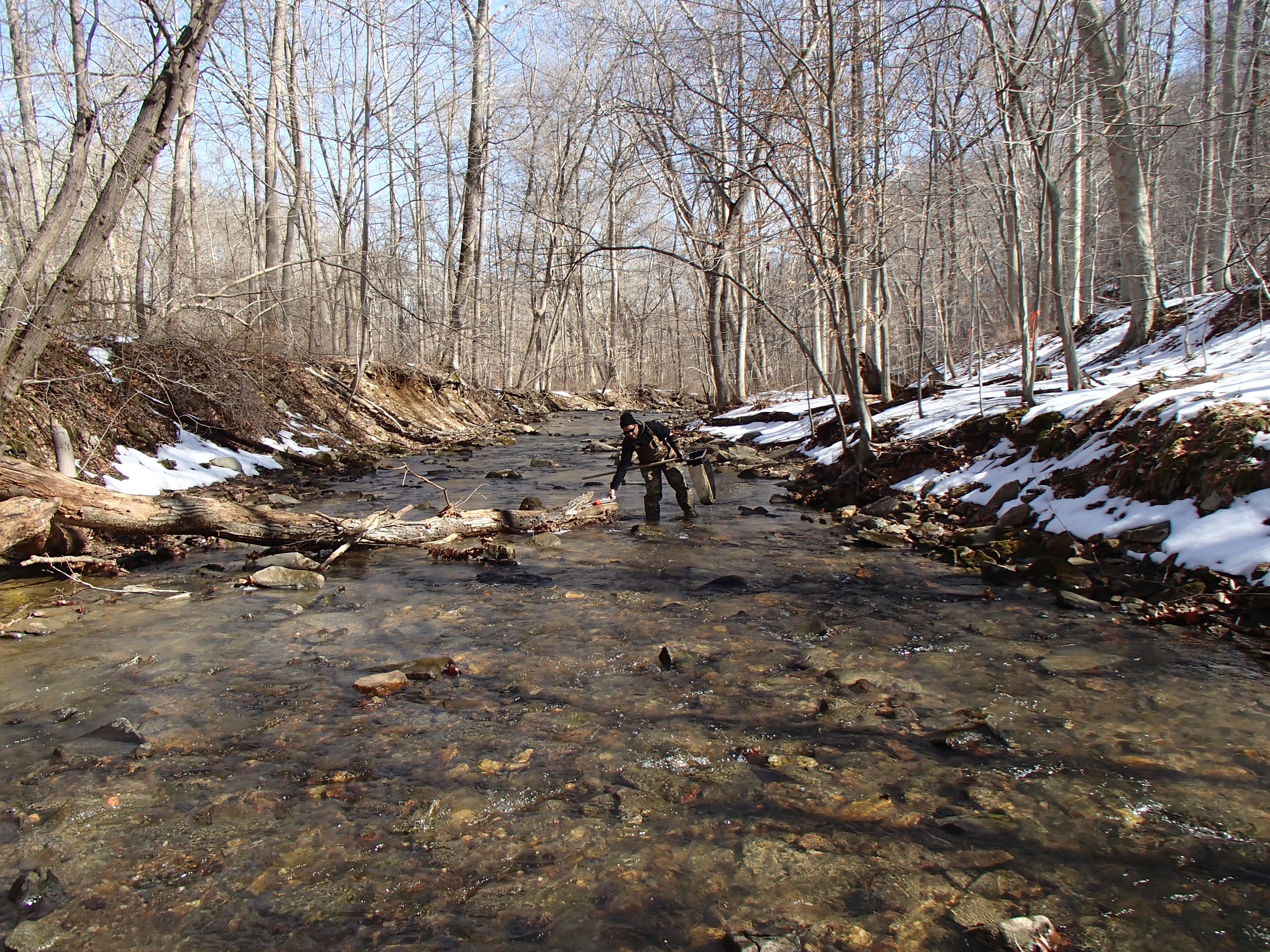 Field photo showing stream conditions at site DEER-101-R-2015_Midpoint-looking-downstream