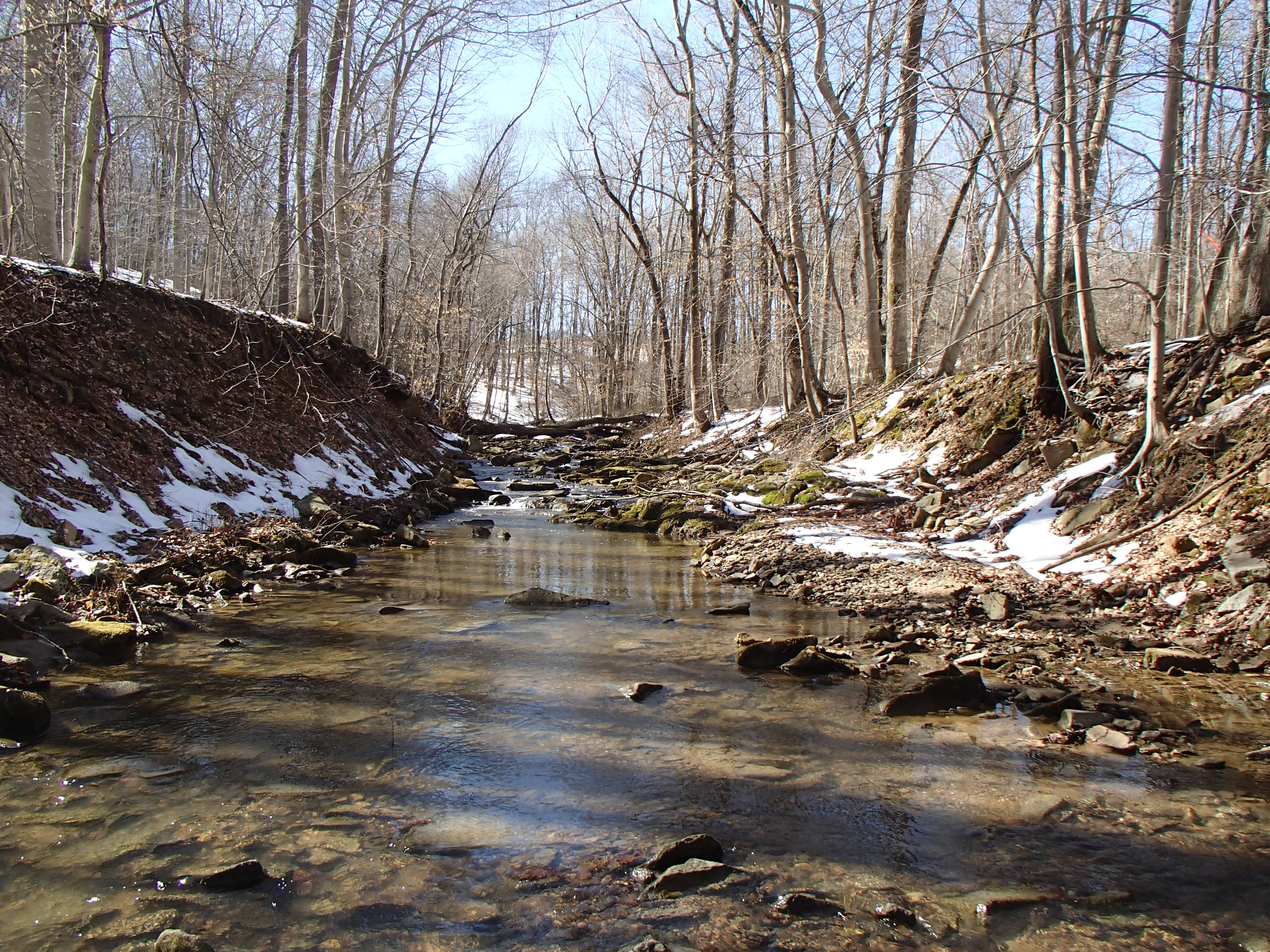 Field photo showing stream conditions at site DEER-101-R-2015_Midpoint-looking-upstream