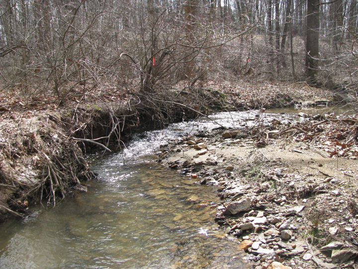 Field photo showing stream conditions at site DEER-101-X-2011-1