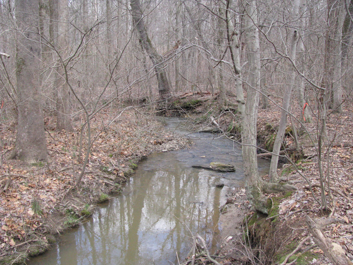 Field photo showing stream conditions at site DEER-102-X-2011-1