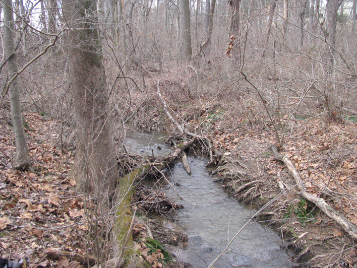 Field photo showing stream conditions at site DEER-102-X-2011-2