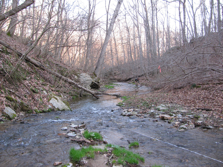 Field photo showing stream conditions at site DEER-103-H-2010-1