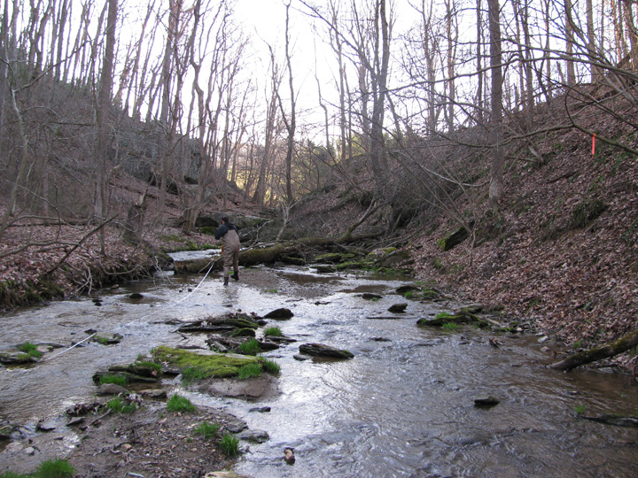 Field photo showing stream conditions at site DEER-103-H-2010-2
