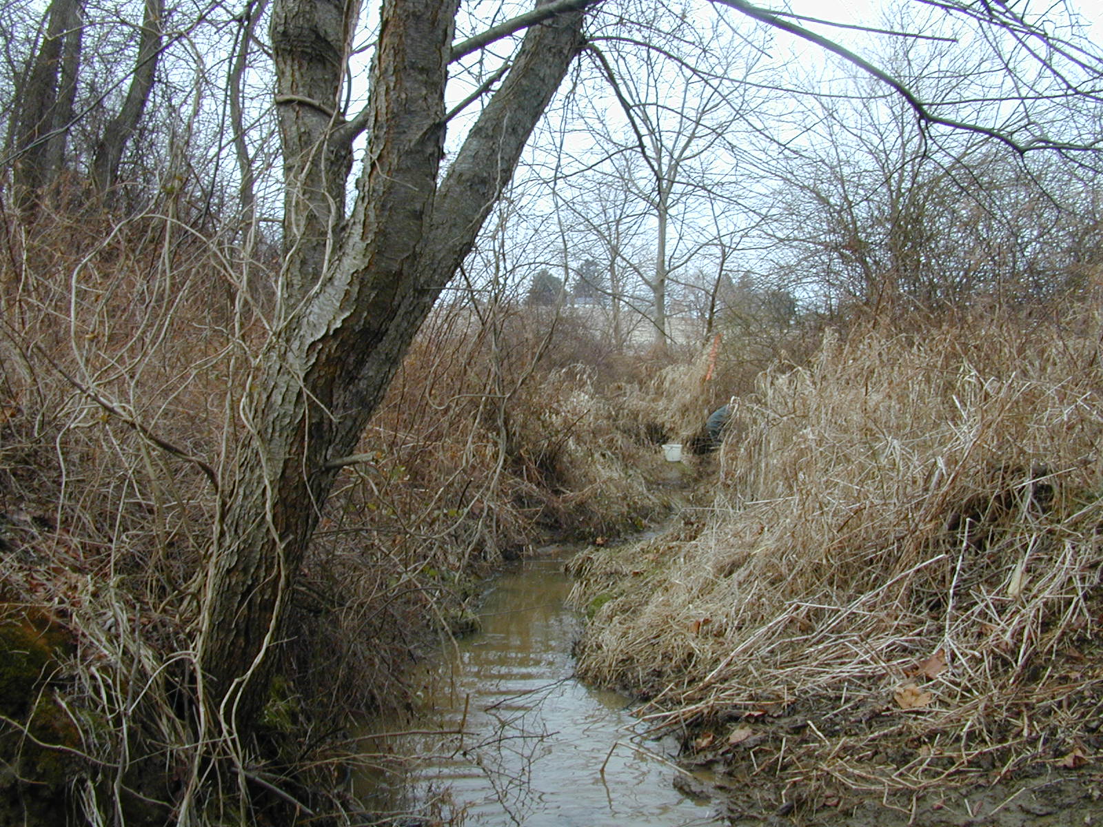 Field photo showing stream conditions at site DEER-103-R-2001-1