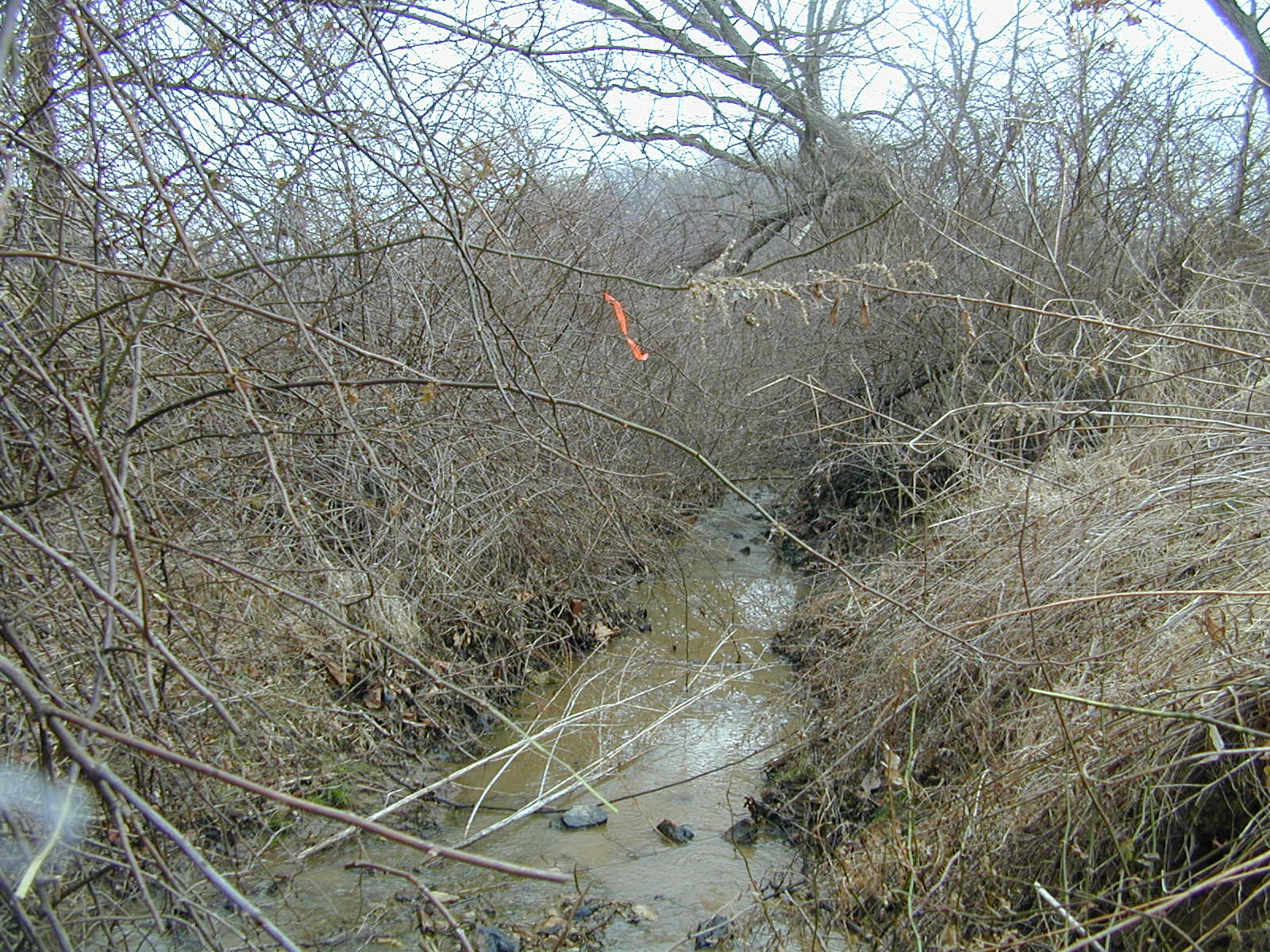 Field photo showing stream conditions at site DEER-103-R-2001-2