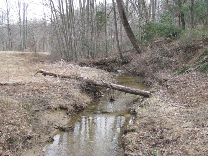 Field photo showing stream conditions at site DEER-103-X-2011-1