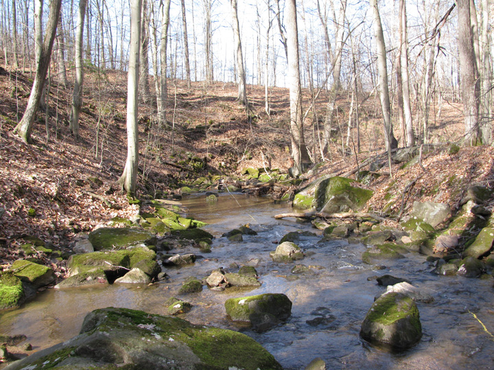 Field photo showing stream conditions at site DEER-104-H-2010-1