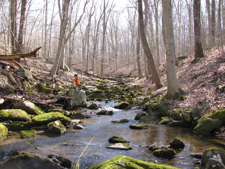 Field photo showing stream conditions at site DEER-104-H-2010-2