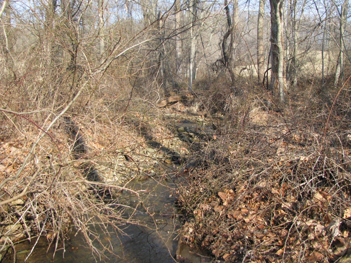 Field photo showing stream conditions at site DEER-104-X-2011-1