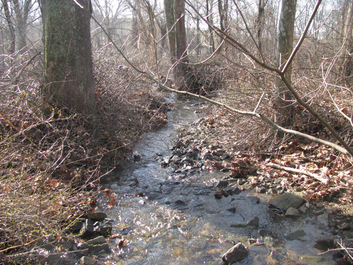 Field photo showing stream conditions at site DEER-104-X-2011-2