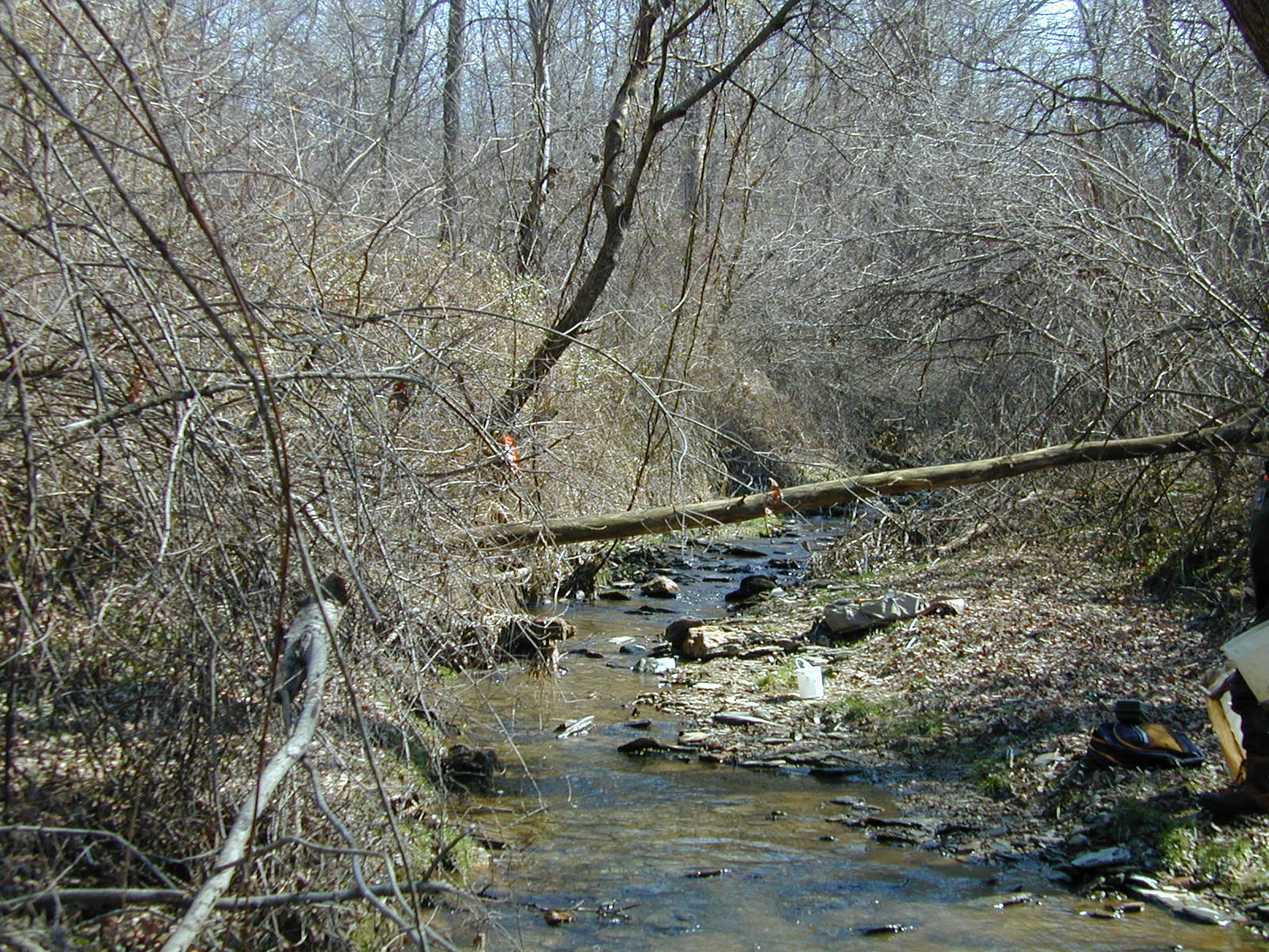 Field photo showing stream conditions at site DEER-105-R-2001-1