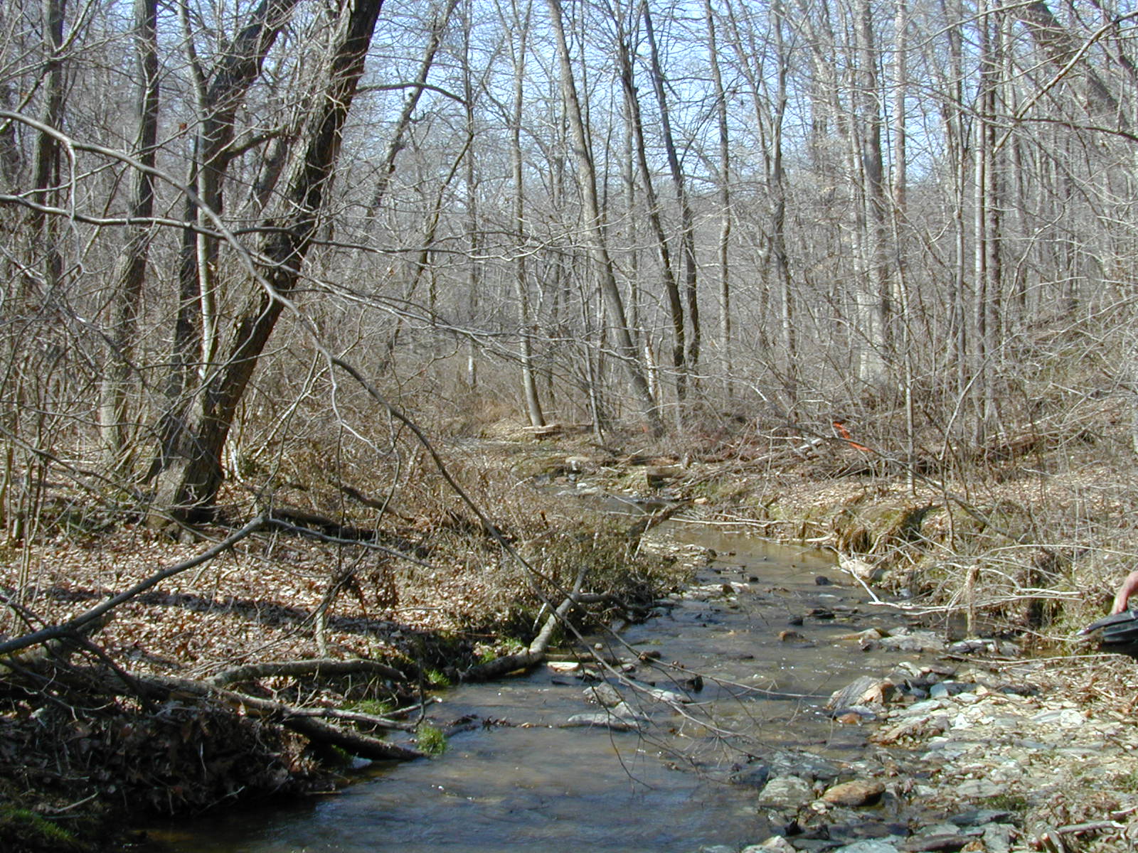 Field photo showing stream conditions at site DEER-105-R-2001-2