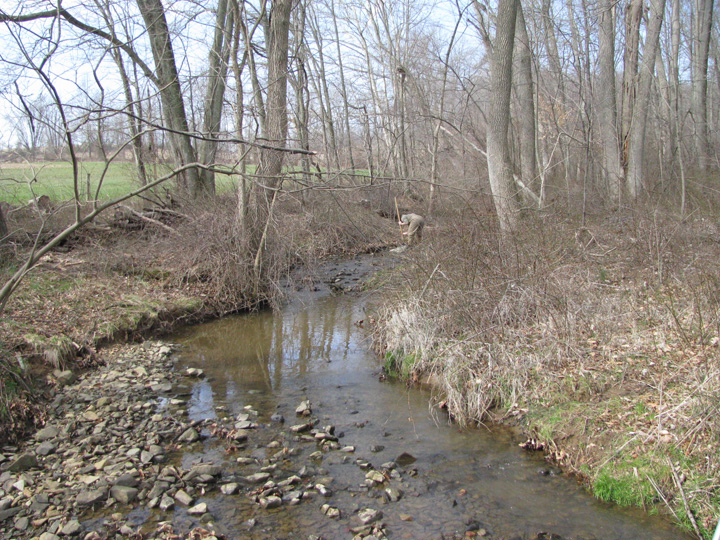 Field photo showing stream conditions at site DEER-105-X-2011-1