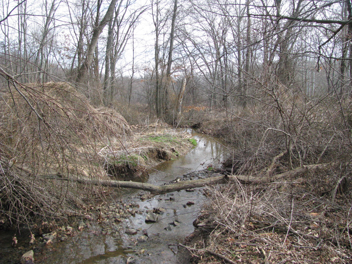 Field photo showing stream conditions at site DEER-105-X-2011-2