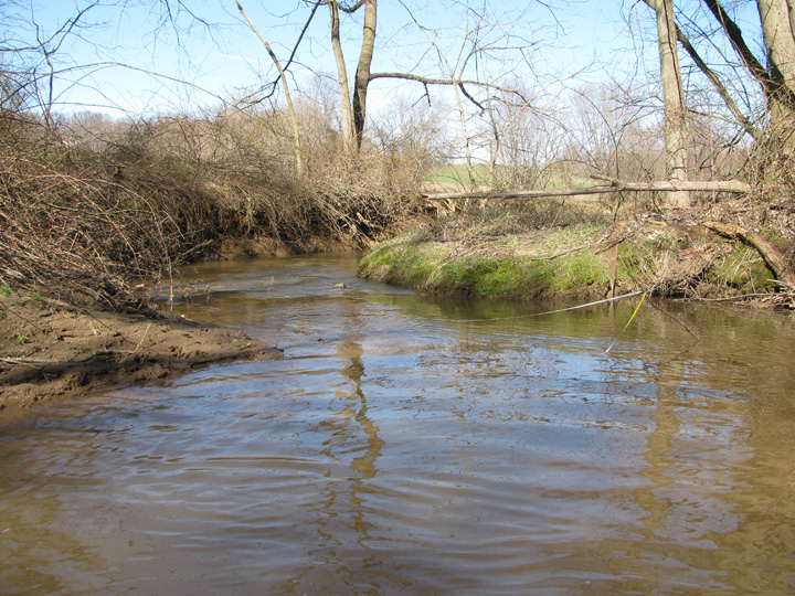 Field photo showing stream conditions at site DEER-106-H-2010-1