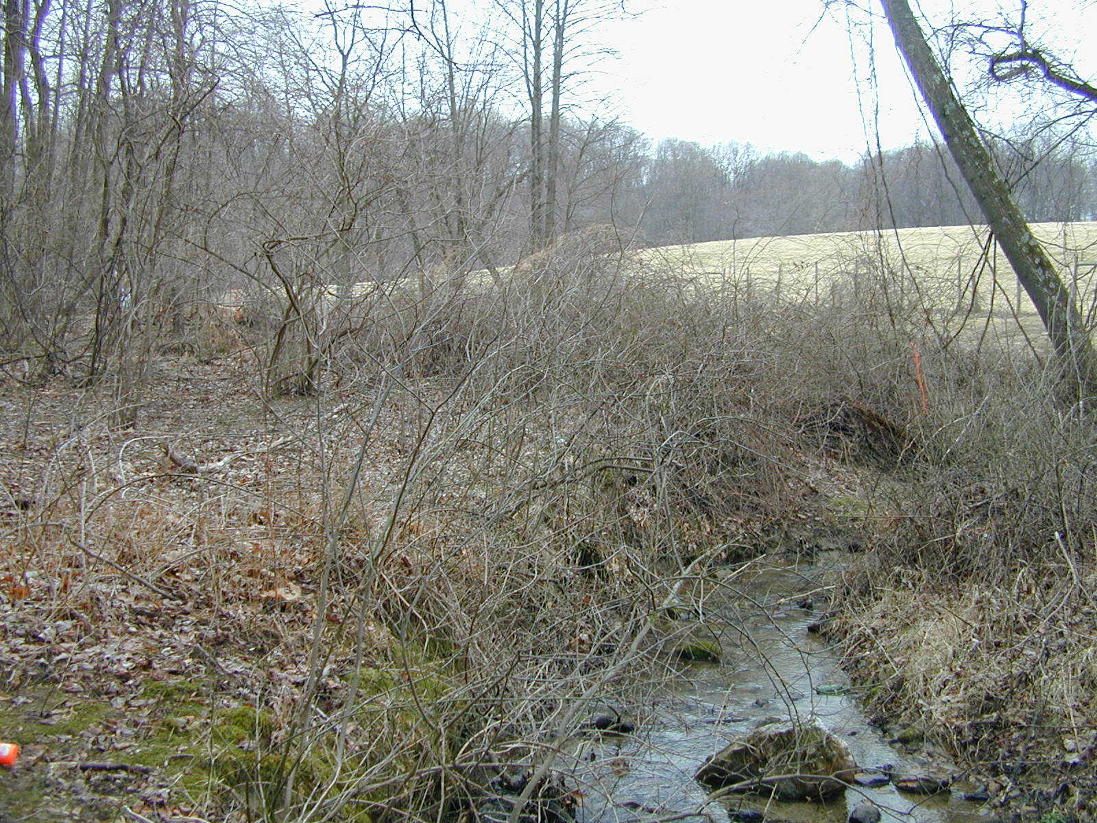 Field photo showing stream conditions at site DEER-106-R-2001-1