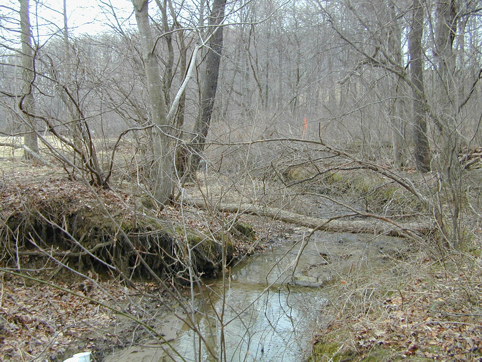 Field photo showing stream conditions at site DEER-106-R-2001-2