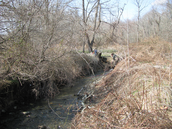 Field photo showing stream conditions at site DEER-106-X-2011-1