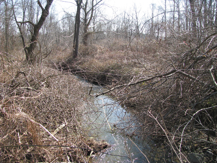 Field photo showing stream conditions at site DEER-106-X-2011-2