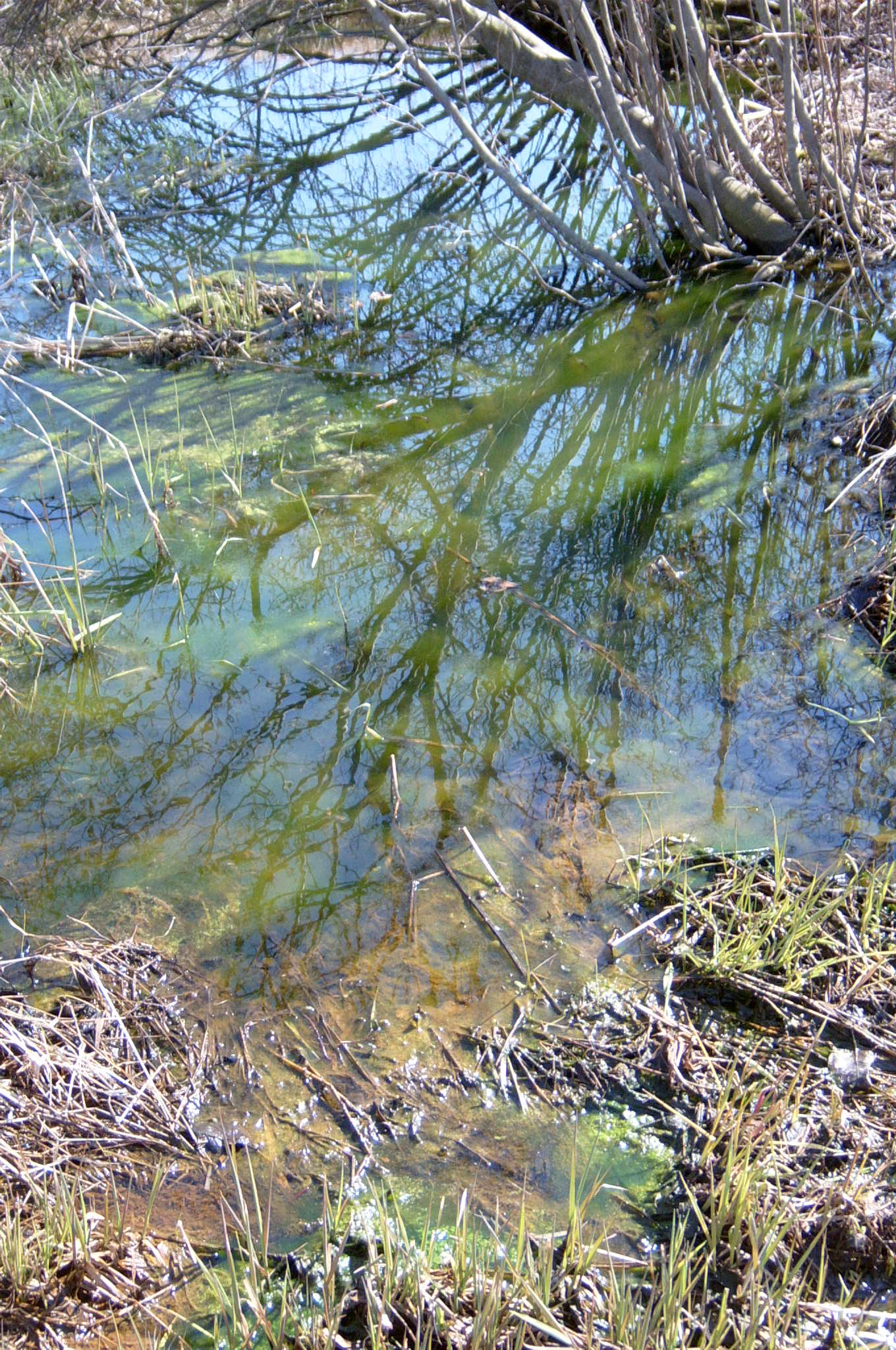 Field photo showing stream conditions at site DEER-107-R-2004-30