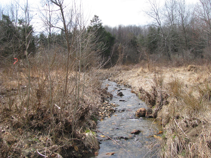 Field photo showing stream conditions at site DEER-107-X-2011-1