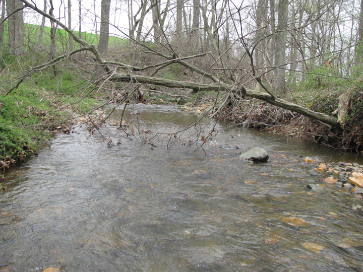 Field photo showing stream conditions at site DEER-108-X-2011-1