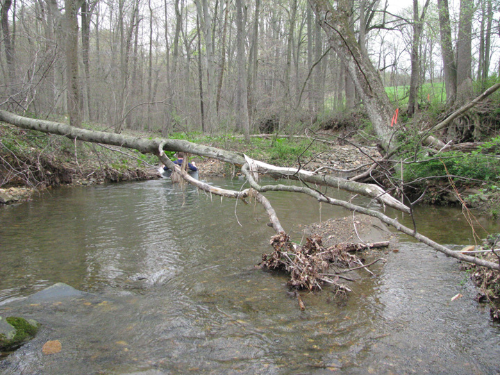 Field photo showing stream conditions at site DEER-108-X-2011-2