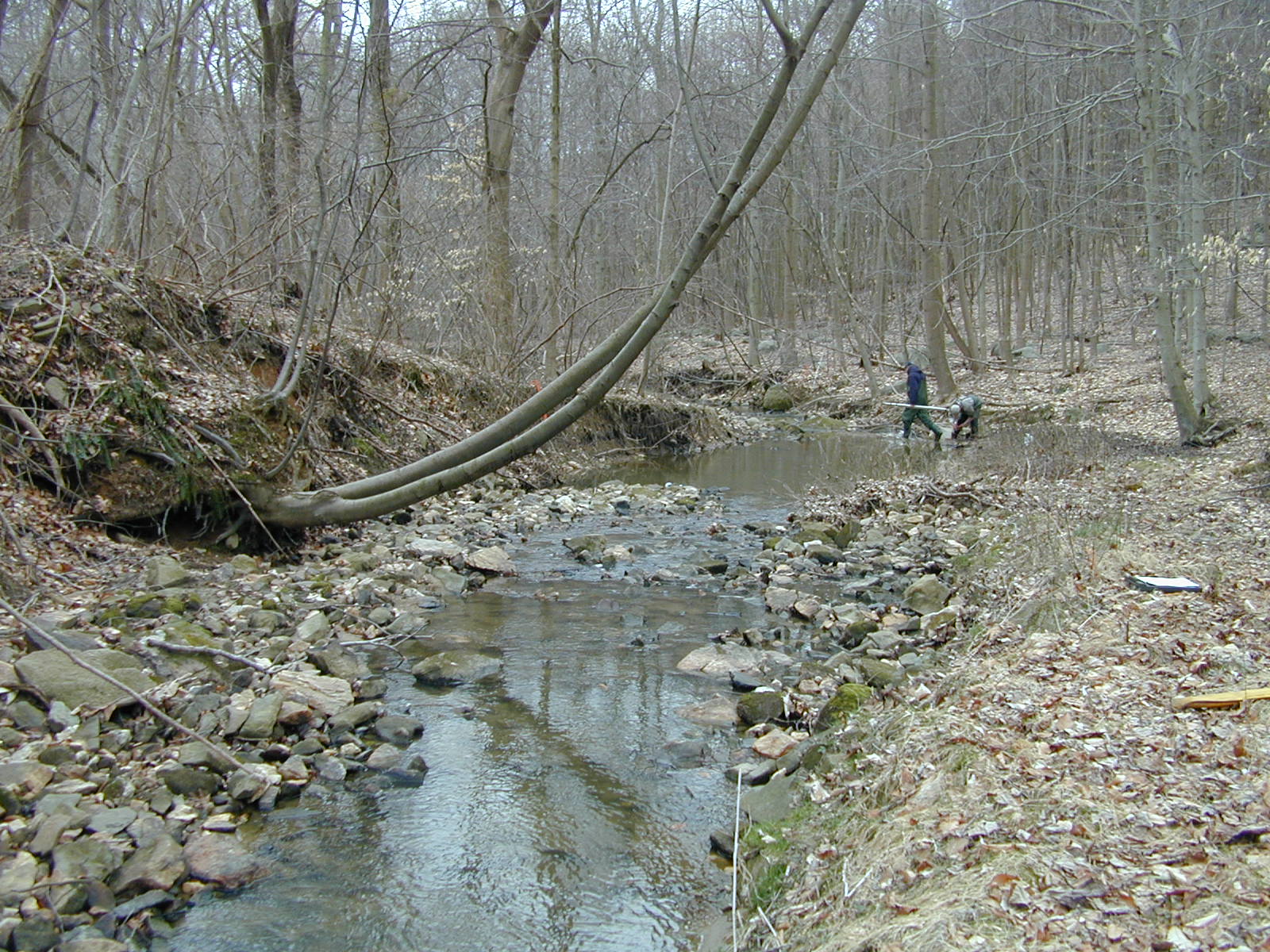 Field photo showing stream conditions at site DEER-109-R-2001-1