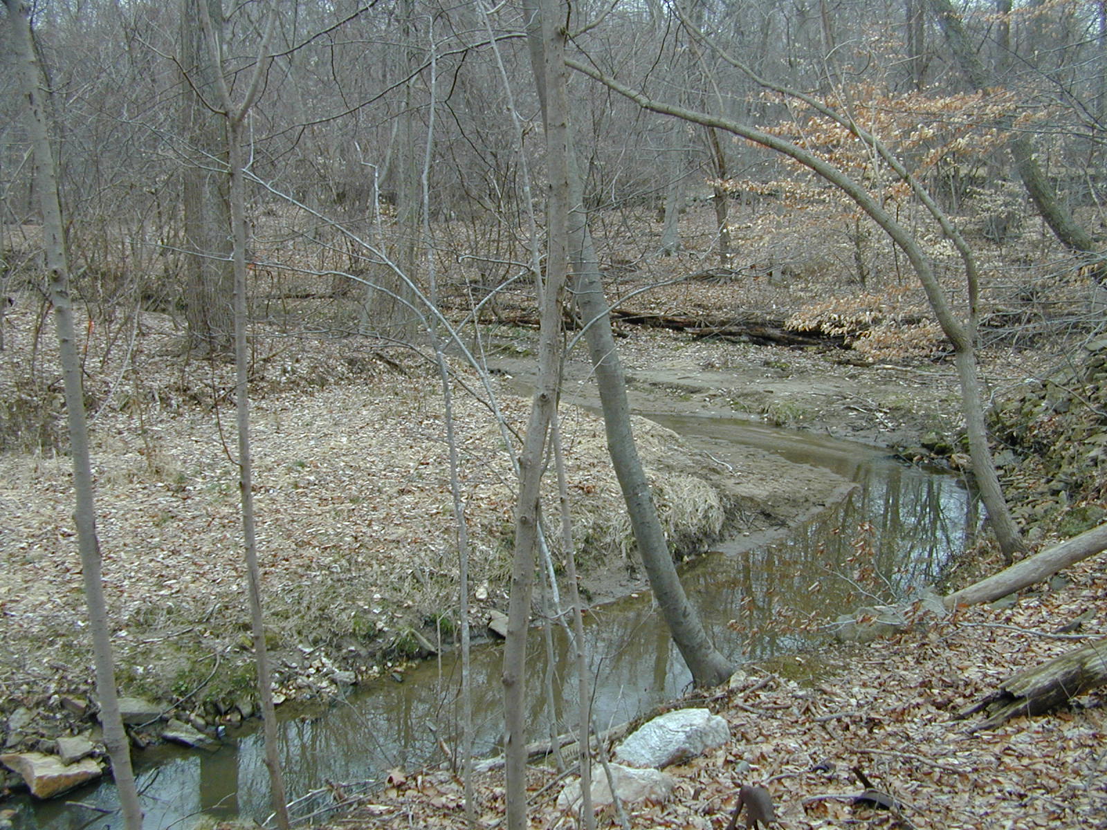 Field photo showing stream conditions at site DEER-109-R-2001-2