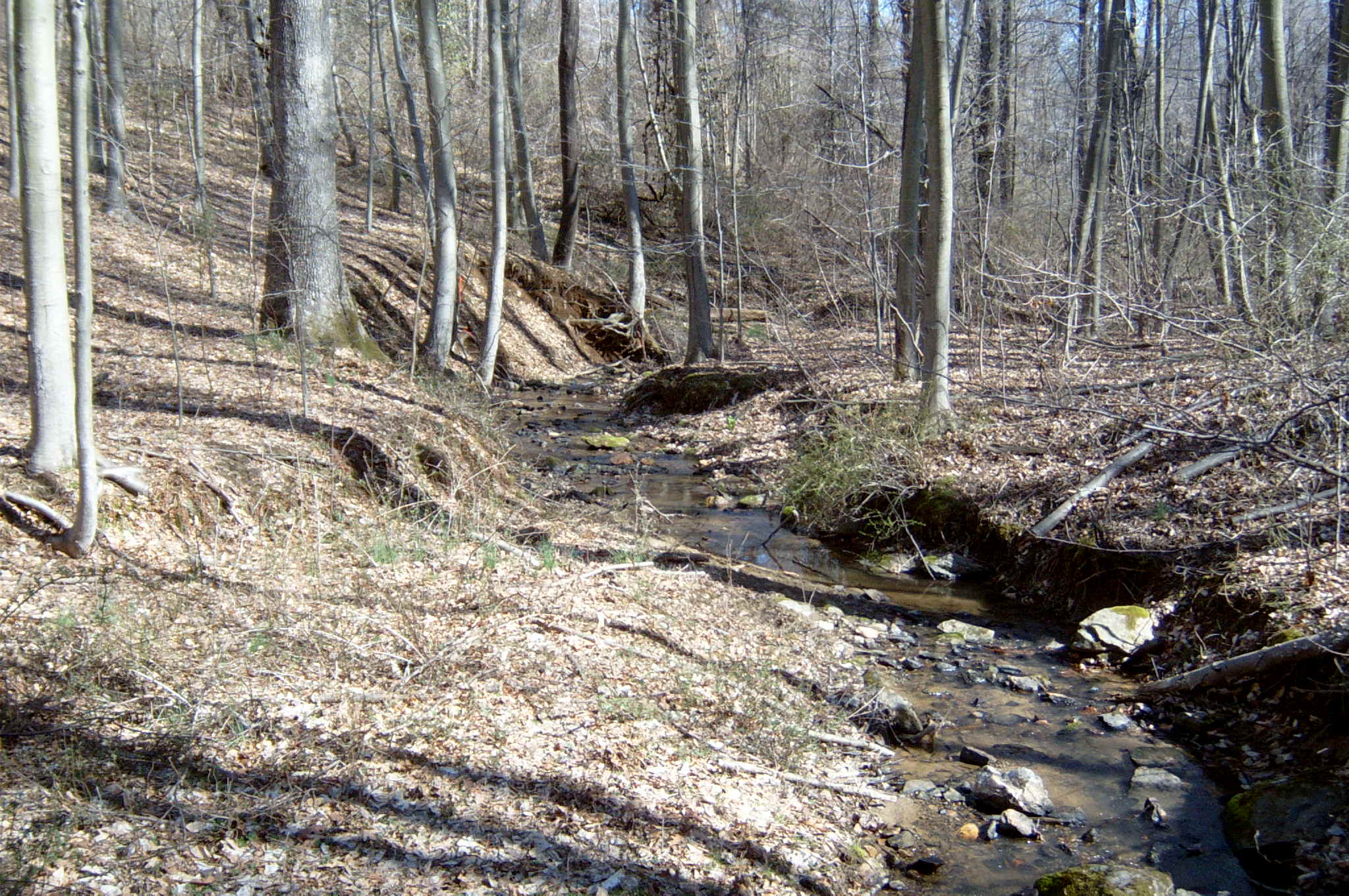 Field photo showing stream conditions at site DEER-109-R-2004-62