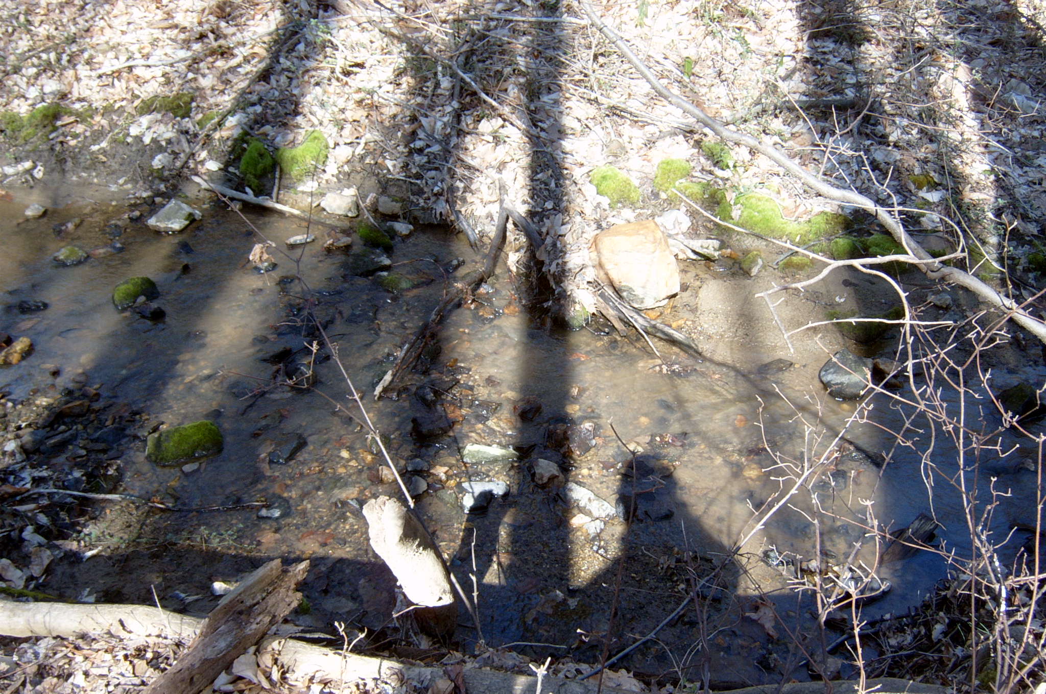 Field photo showing stream conditions at site DEER-109-R-2004-63