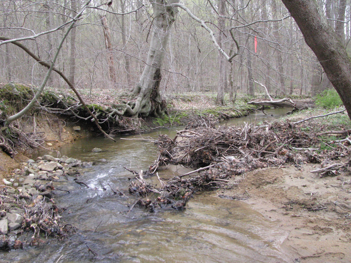 Field photo showing stream conditions at site DEER-109-X-2011-1