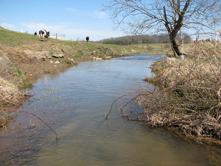 Field photo showing stream conditions at site DEER-110-H-2010-1