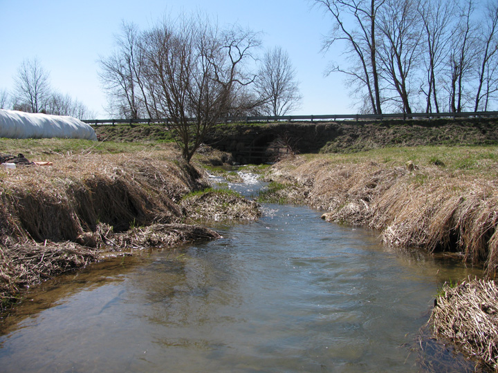 Field photo showing stream conditions at site DEER-110-H-2010-2