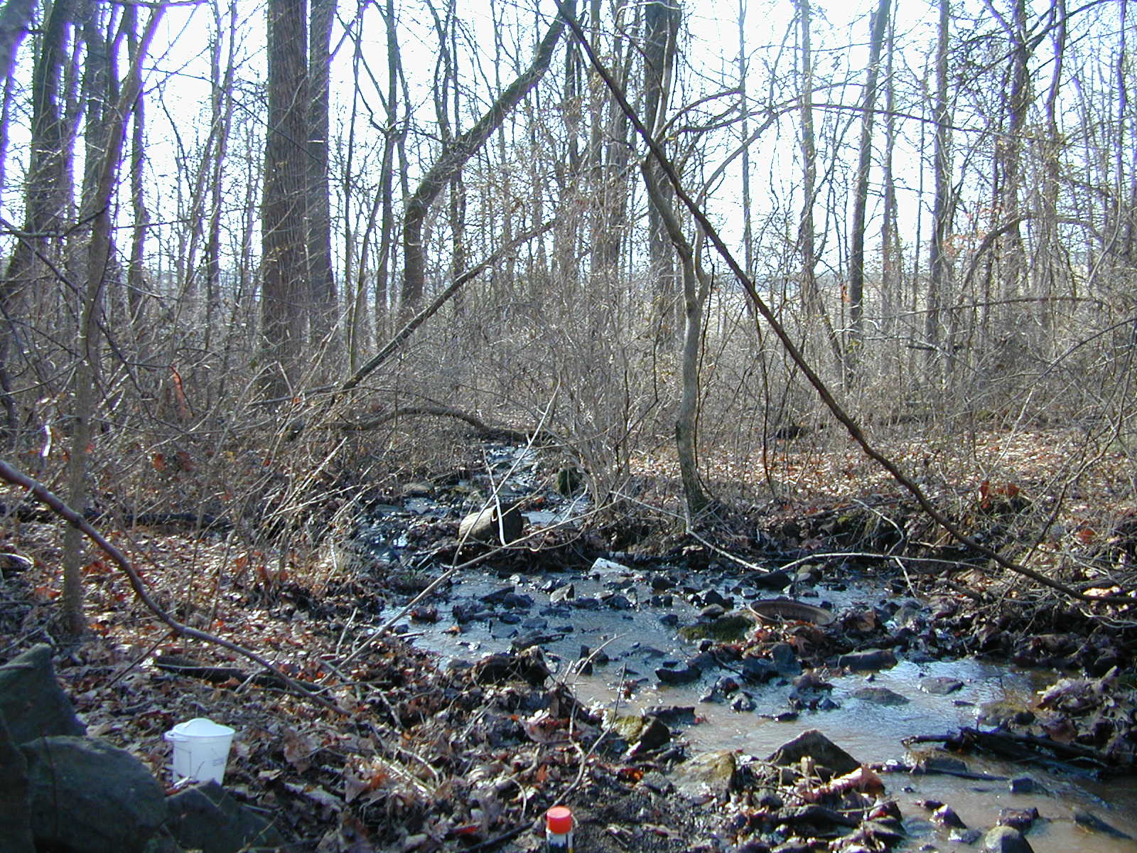 Field photo showing stream conditions at site DEER-110-R-2001-1
