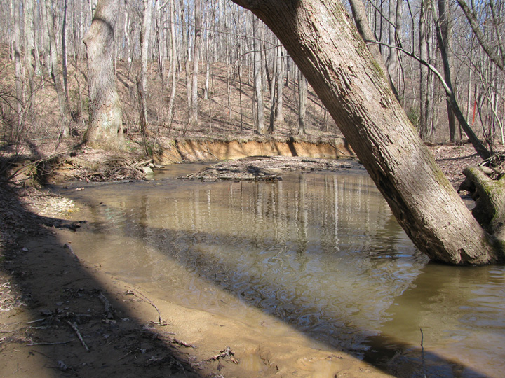 Field photo showing stream conditions at site DEER-111-H-2010-1