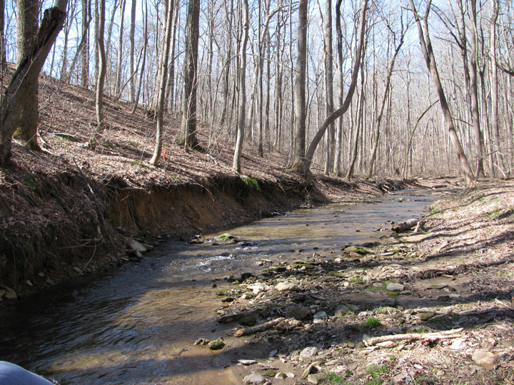 Field photo showing stream conditions at site DEER-111-H-2010-2