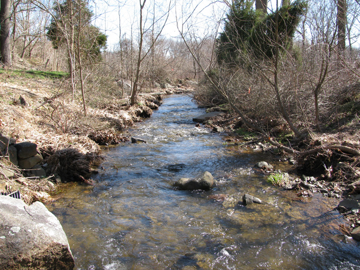 Field photo showing stream conditions at site DEER-112-H-2010-1
