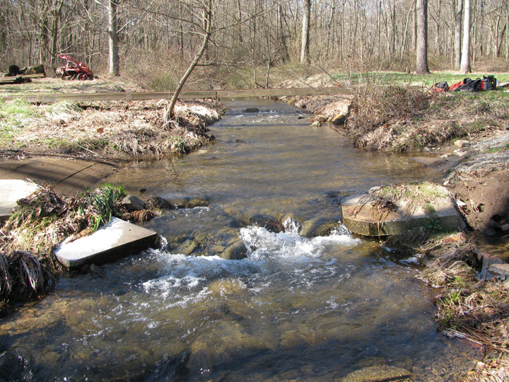 Field photo showing stream conditions at site DEER-112-H-2010-2