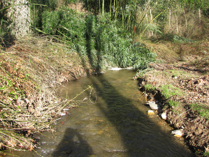 Field photo showing stream conditions at site DEER-113-H-2010-1