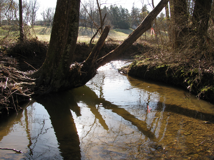 Field photo showing stream conditions at site DEER-113-H-2010-2