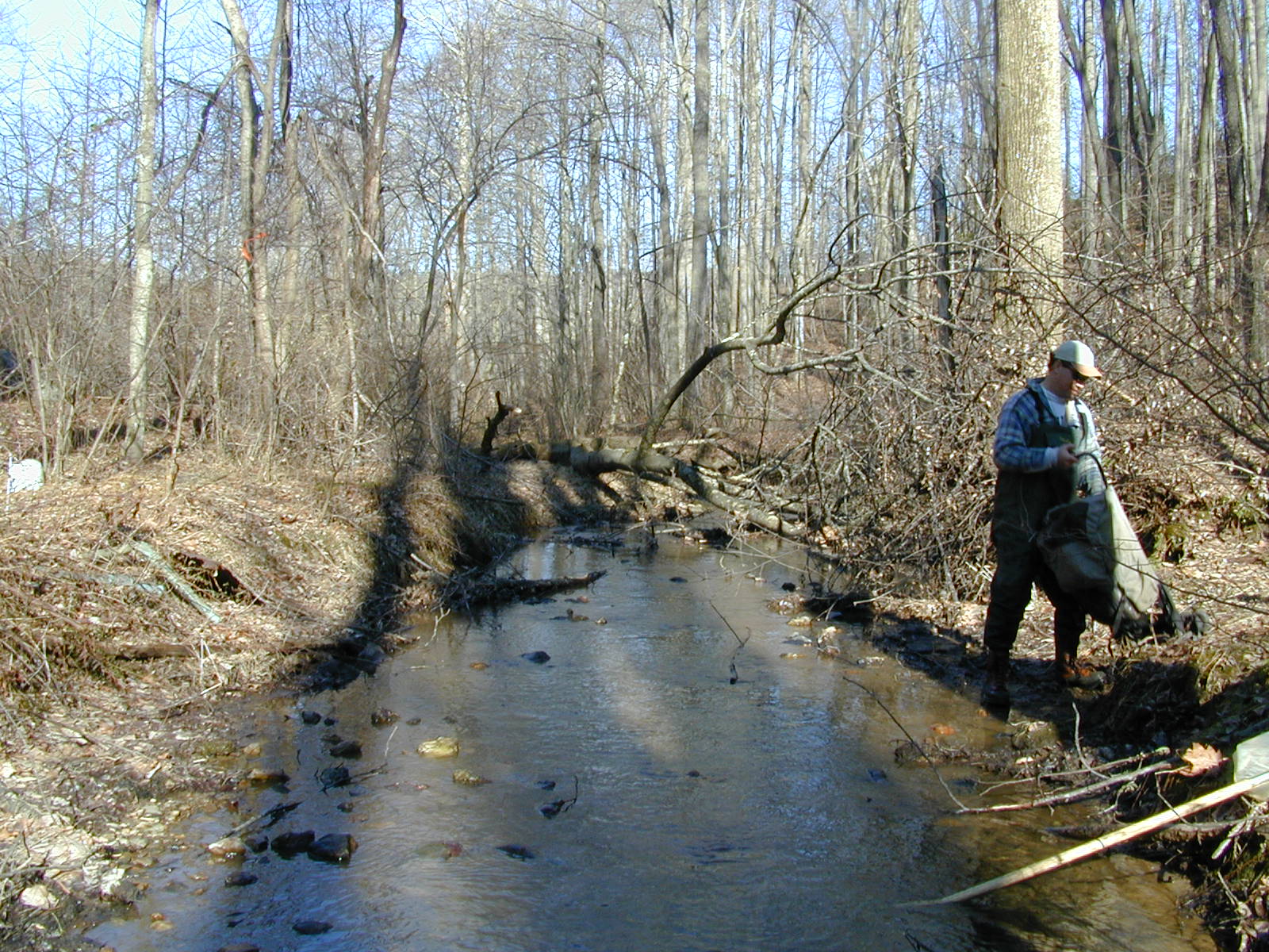 Field photo showing stream conditions at site DEER-113-R-2001-1