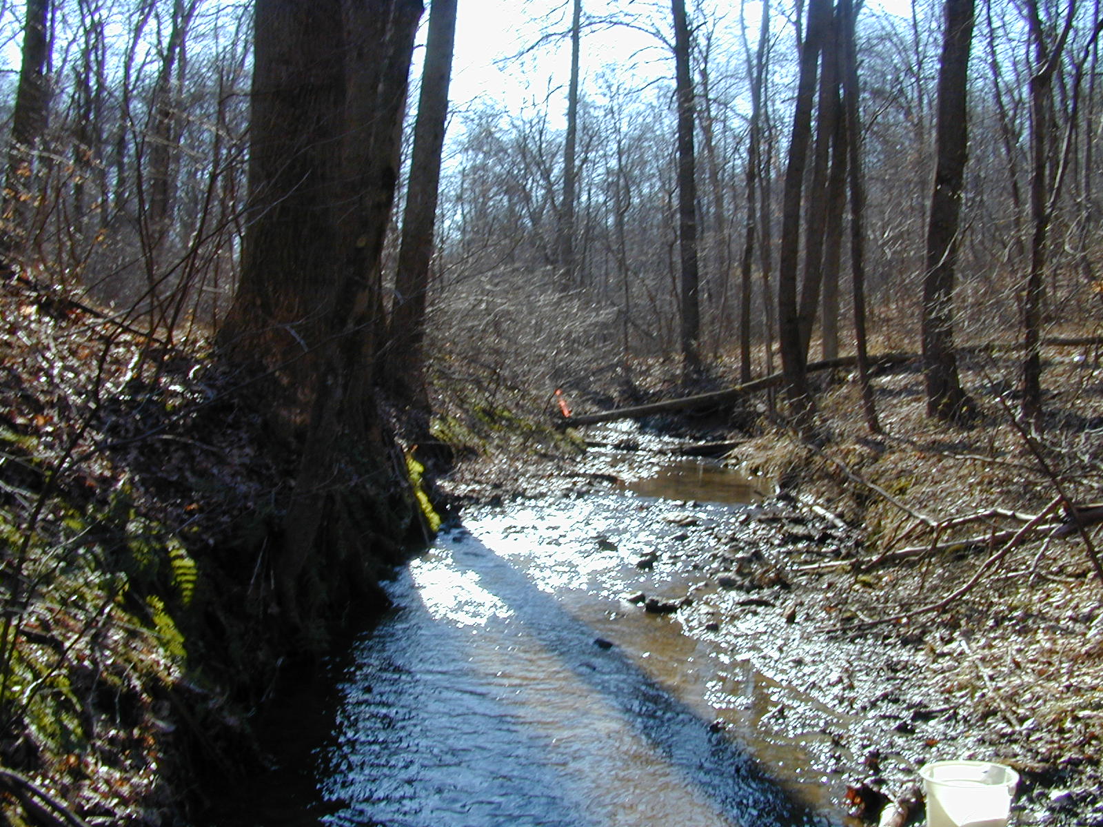 Field photo showing stream conditions at site DEER-113-R-2001-2